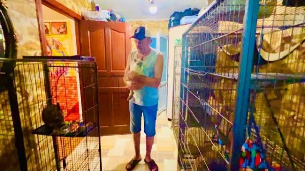 МЫ ОСИРОТЕЛИ! Даже кот Басик не понимает что происходит, но зато есть время ПОЗАНИМАТЬСЯ с Полей!