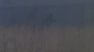 Дикая охота короля Стаха