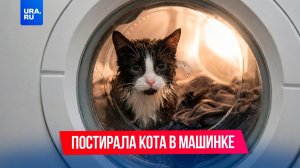 Москвичка постирала кота в машинке