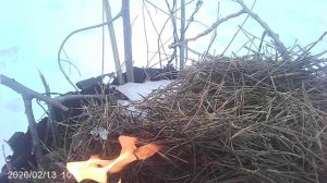 По рекомендации ГО и ЧС администрации нашего г.п.г. Краснослободск Федина В.Е. сжигаю мусор на снегу