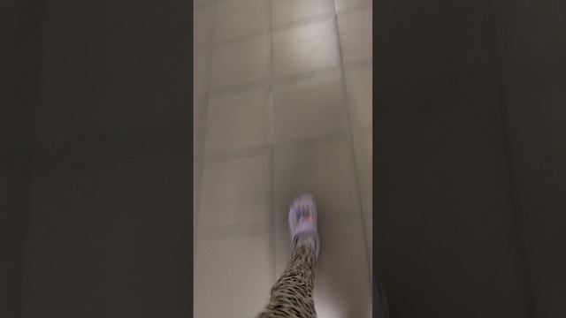 часть 2 соревнования смотреть онлайн