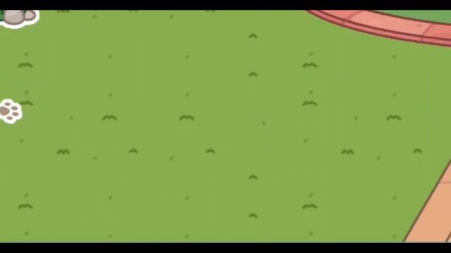 🌆вечерние обустройство