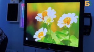 Место, где обретают силу: отделение дневного пребывания КЦСОН