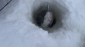 Вип зона.Хорошая котлетина