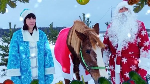 document_5366348013268667717