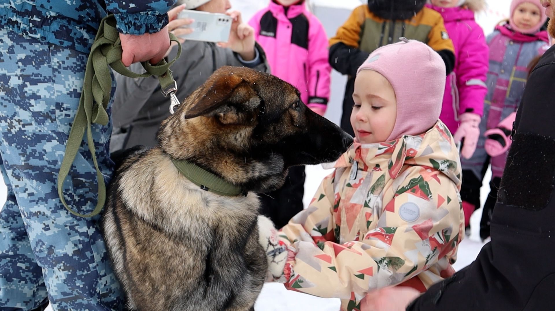 ЛАПЫ ЗАКОНА