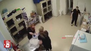 Постирал кота в стиралке! Жуткое зверство в Челябинске: мужчина замучил кота до смерти.