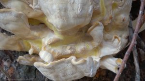 рыбалка в Астрахань