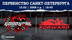ГудГол 08 - Динамо Форвард 08 / 15.02.2026