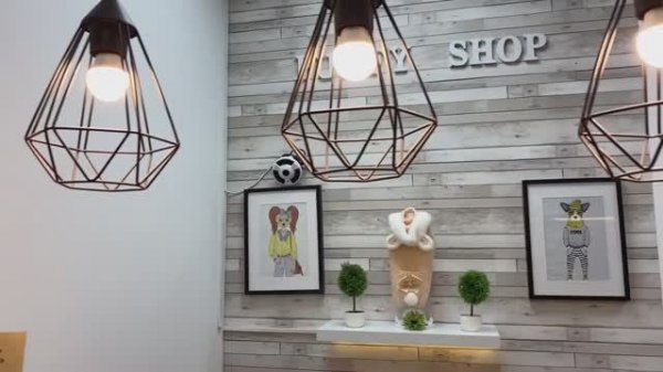 История создания Puffy