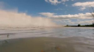 ск_У::би Д'у •1 #столичный_червонец