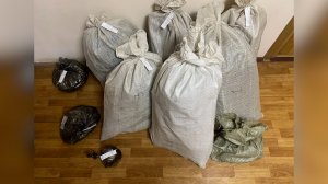 Наркотроица