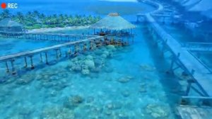 🌊 Best Tropical Deep House 2025 🌊 – Chill Vocal Mix for Relaxing, Love, and Summer Beach Energy