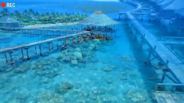 🌊 Best Tropical Deep House 2025 🌊 – Chill Vocal Mix for Relaxing, Love, and Summer Beach Energy