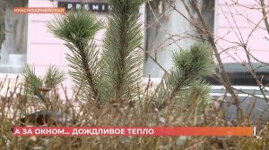 А за окном. 13 февраля 2026