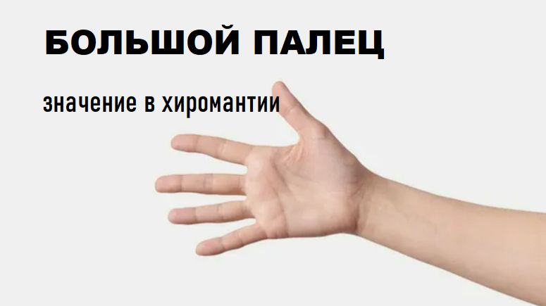 Большой палец в хиромантии. смотреть онлайн