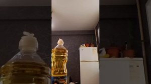 АЛЛАГЬ Велик ❤️