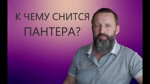 ПАНТЕРА. К чему снится Пантера.