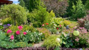 Многолетние растения в нашем саду, дающие самосев. Подарки природы или агрессоры.