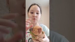 Обзор моих вещей с капибарой