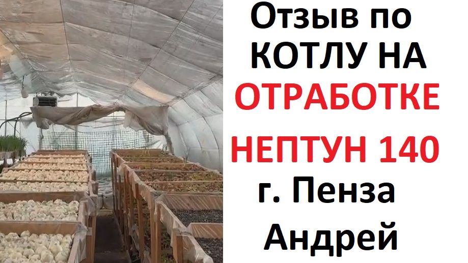 Нептун 140 отзыв из Пензы от Андрея смотреть онлайн