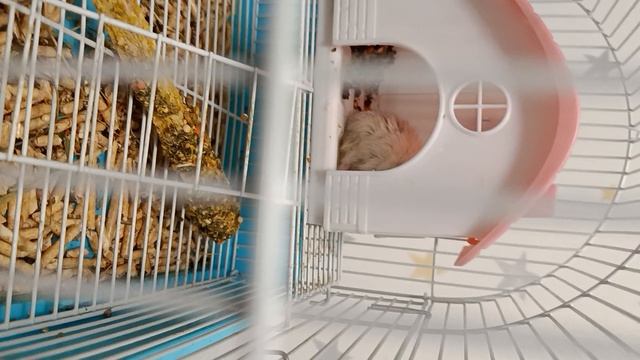 аааааааааа! 20 подписчиков смотреть онлайн