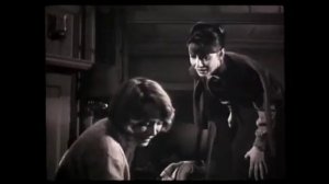 Официальный трейлер "Целлулоидный шкаф (1995)"