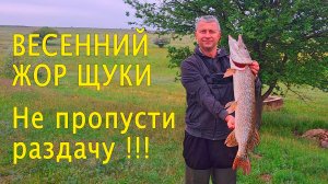 🔥 Весенний ЩУЧИЙ ВЗРЫВ! Две огромные щуки на один воблер, всего за час. Сумасшедшие поклевки! 🔥