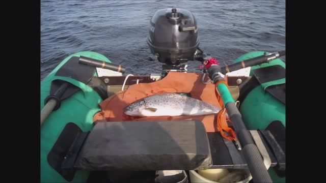 Фотообзор моего Севера 2009 - 2025. С комментариями. Кольский полуостров.