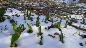 Теплая погода на Ставрополье сохранится до конца недели