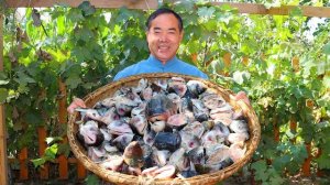 Самое недооцененное блюдо из рыбы. Рыбьи ротики, тушеные в жгучем бульоне с перцем чили!