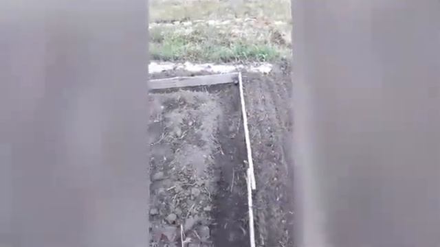 Посадка саженцев и копка грядок