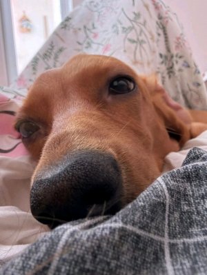 еду на танцы