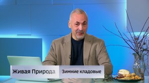 Живая природа. "Зимние кладовые"