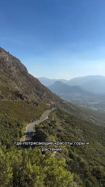 И все это - ЮАР ❤️

Если интересно , ставь + в комментариях, вышлю программу моего тура @grebelnik_d