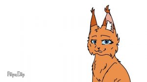 ЗНАКОМСТВО. Информация о канале\\Коты-воители