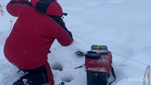 Ловля форели - 13.02.26 смотреть онлайн