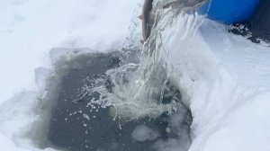 Запуск форели