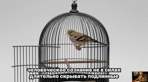 ПАРТНЕРСТВО: Отношения двух взрослых душ без драм и манипуляций