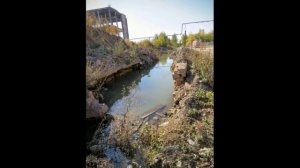 Легенды "зоны"(сталкерская. Исполняет В.Бекк