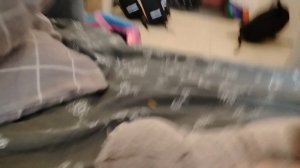 Жизнь басика вторая часть