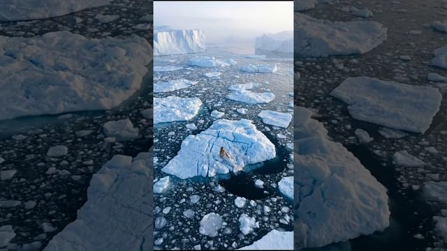 1000926942.mp4 смотреть онлайн