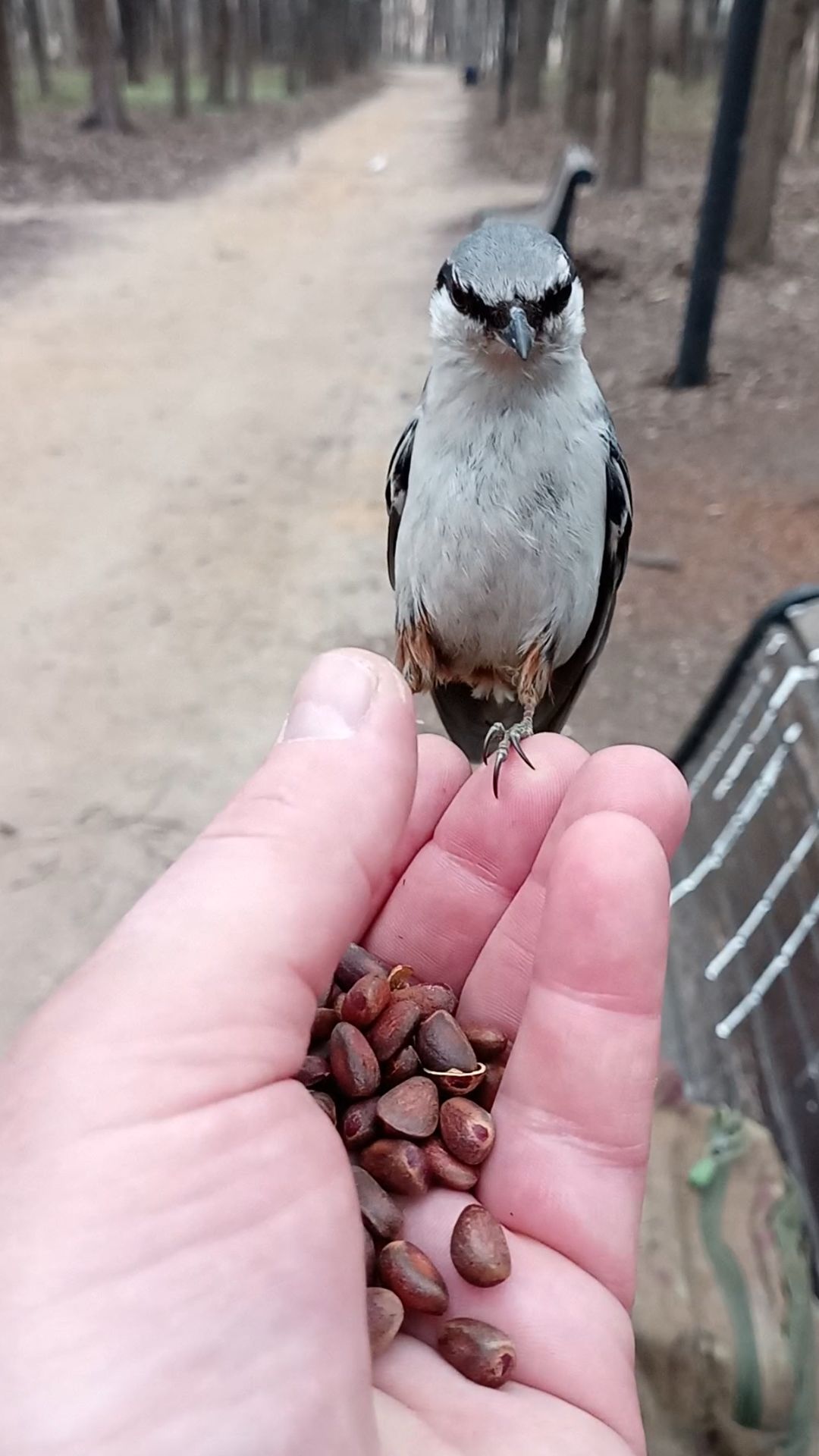 Знакомый поползень. Апрель 2023 смотреть онлайн