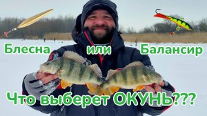 Что выберет окунь: Балансир или Блесну? / Блесна против Балансира / Ловля окуня со льда / Фишмир