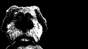 12 новых фаз