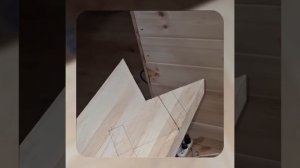 1000048534.mp4 (Собака наблюдает за устройством лестницы на 2 этаж в доме А-фрейм)