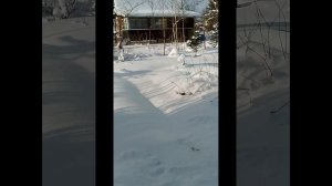 Первая поездка на дачу в 2026г(12.02.)