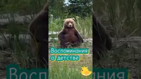 VID_20260213_191405_620.mp4