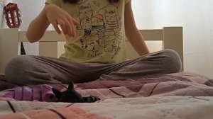 видио с стикирами