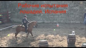 Рабочая выездка. Чемпионат Испании. 2022 год